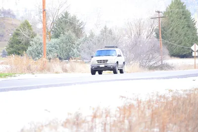 DSC_0826 (Large).JPG